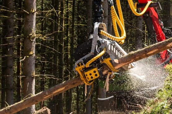 Wartung Forstmaschinen Vorarlberg